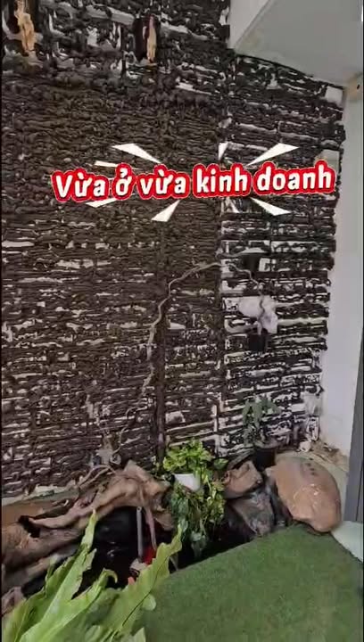 Nhà mặt tiền kinh doanh Đường Số 8, Bình Tân 56m² giá 4,8 tỷ - Đầu tư sinh lời cao!