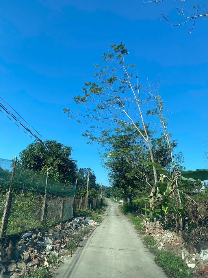 Lô đất 306m² tại Đông Thành, Thanh Ba - Giá chỉ 1.2 tỷ - Đầu tư sinh lời ngay!