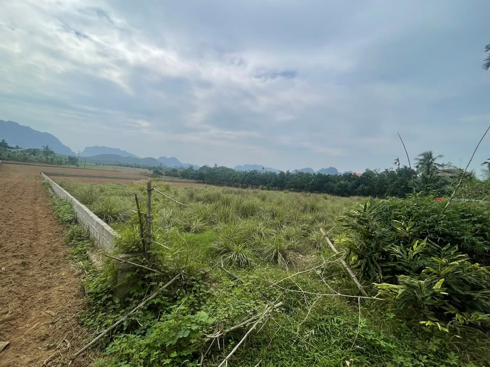 Đất thổ cư 360m² tại Bến Nghĩa, Lạc Thủy - View sông thoáng mát