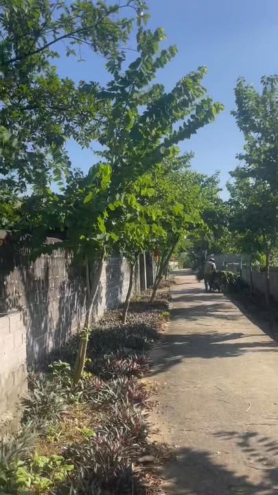 Đất nền Yên Trị, Hòa Bình 150m² giá 400 triệu - Sổ đỏ chính chủ, đầu tư sinh lời!