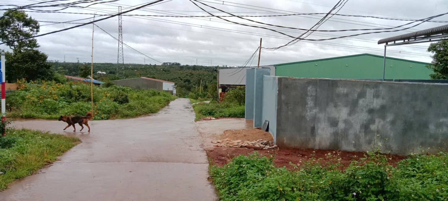 Đất nền Pơng Drang, Krông Búk, 129m² giá 469 triệu - Tiềm năng đầu tư lớn!