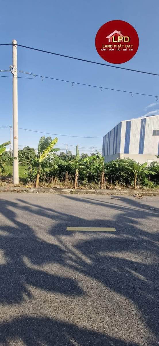 Đất nền Ninh Phúc 216m² - Đầu tư sinh lời hấp dẫn!