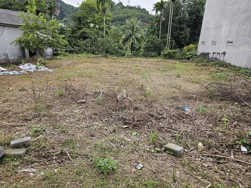 Đất nền Tân Hòa Hòa Bình 100m² giá 1.2 tỷ - Ô tô vào tận đất!