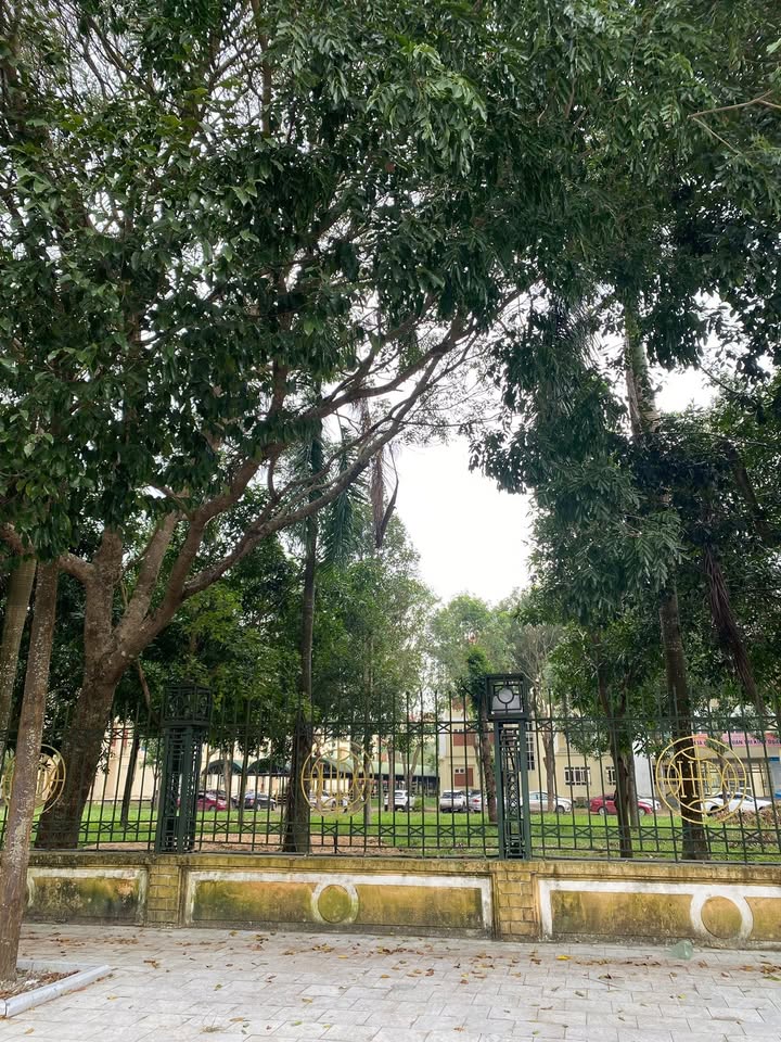 Lô đất Đông Vệ 255m² giá 9.5 tỷ - Đầu tư sinh lời ngay lập tức!