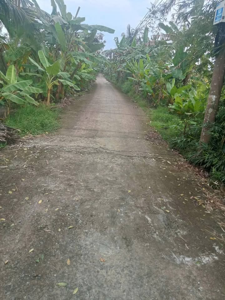 Đất Rạch Xẻo Da, Cái Răng 1093m² giá chỉ 1.093 tỷ - Pháp lý sổ hồng chính chủ!