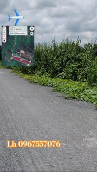 Đất nông nghiệp 80.000m² Thạnh Phước Tây Ninh giá chỉ 12.8 tỷ - Đầu tư bền vững!