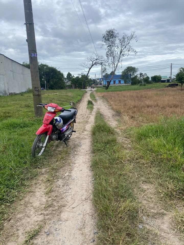 Đất nền 975m² ấp Tân Hòa, Đức Lập Hạ - Giá chỉ 2.888 tỷ!