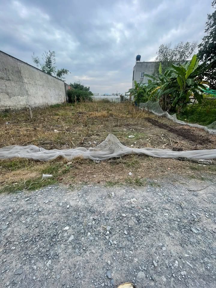 Đất nền liền kề 175m² tại xã Mỹ Hạnh, Đức Hòa - Giá 1.25 tỷ đã bao thuế