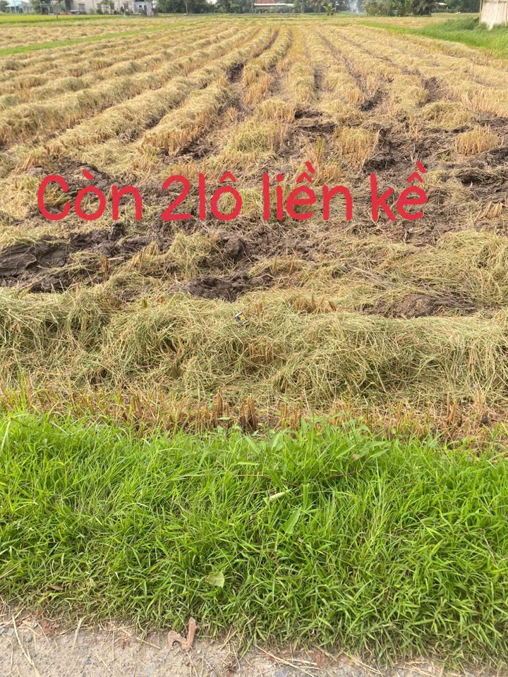 Đất thổ cư Hòa Khánh Đông Đức Hòa 150m² giá 600 triệu - Sổ hồng chính chủ