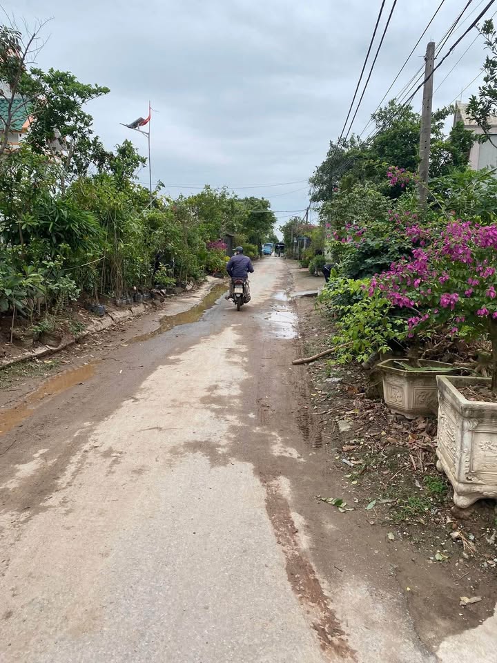 Đất thổ cư 209m² đường trục chính Liên Xã Thanh Hà - Giá chỉ 1 tỷ!