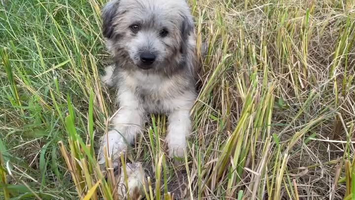 Đất thổ cư xã Phan, Dương Minh Châu 1.220m² giá 3.4 tỷ - Sổ đỏ chính chủ!