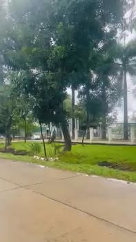 Đất nền tại đường Lê Hồng Phong, Cư Jút, 234m² chỉ 1.28 tỷ - Khu vực sầm uất, kinh doanh tốt!