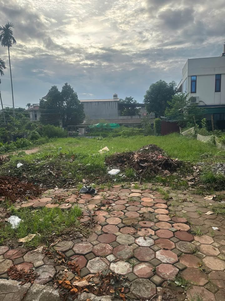 Lô đất 216m² Khu đô thị Picenza, Linh Sơn - Giá chỉ 40 triệu/m², hướng Đông Nam!