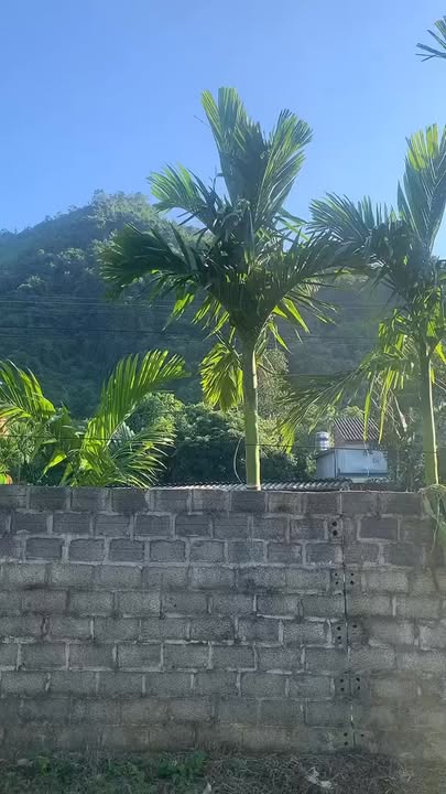 Đất thổ cư Kim Bôi 500m² giá 1 tỷ - Vị trí giao thông thuận lợi!