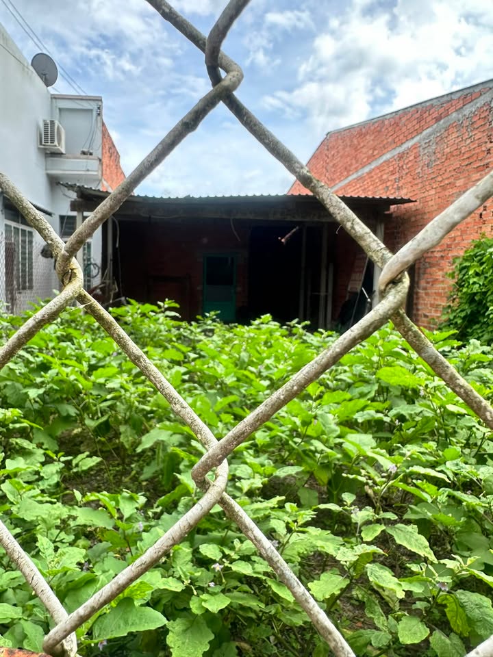 Nhà đất ấp Trường An, xã Trường Tây, Tây Ninh 159m² giá 7.62 tỷ - Cơ hội đầu tư tuyệt vời!