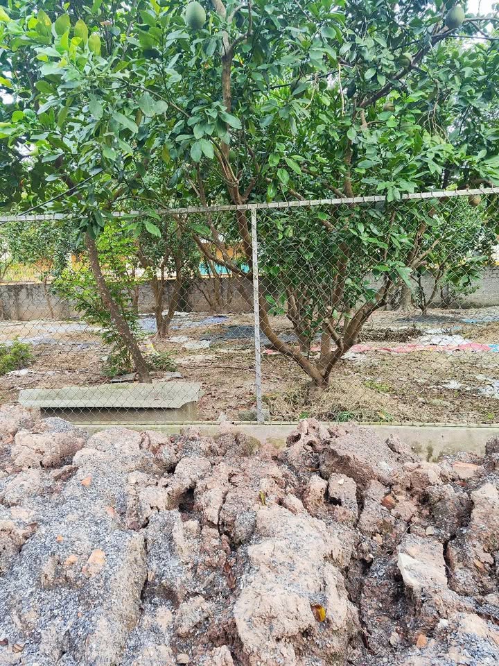 Đất thổ cư 90m² tại thôn Ngọ, Phú Xuyên giá chỉ 2.5 tỷ - Cơ hội đầu tư tuyệt vời!