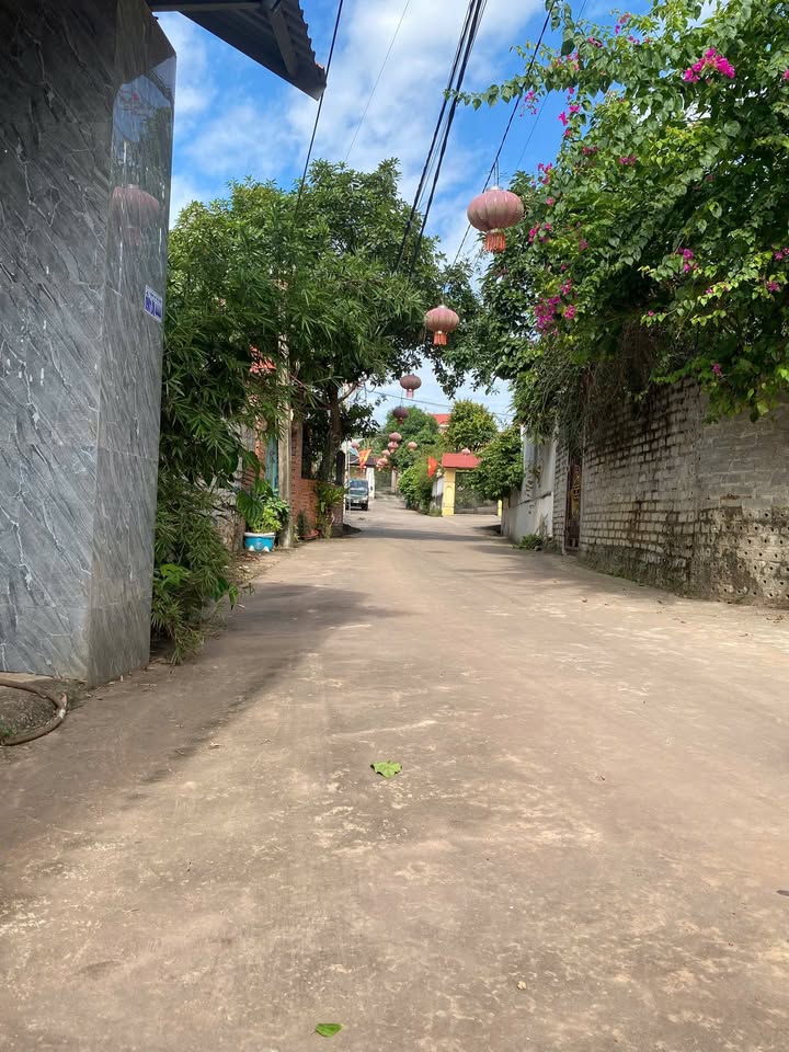 Đất thổ cư 315.5m² tại thị trấn Vôi, chỉ 2 tỷ - Đầu tư sinh lời ngay!