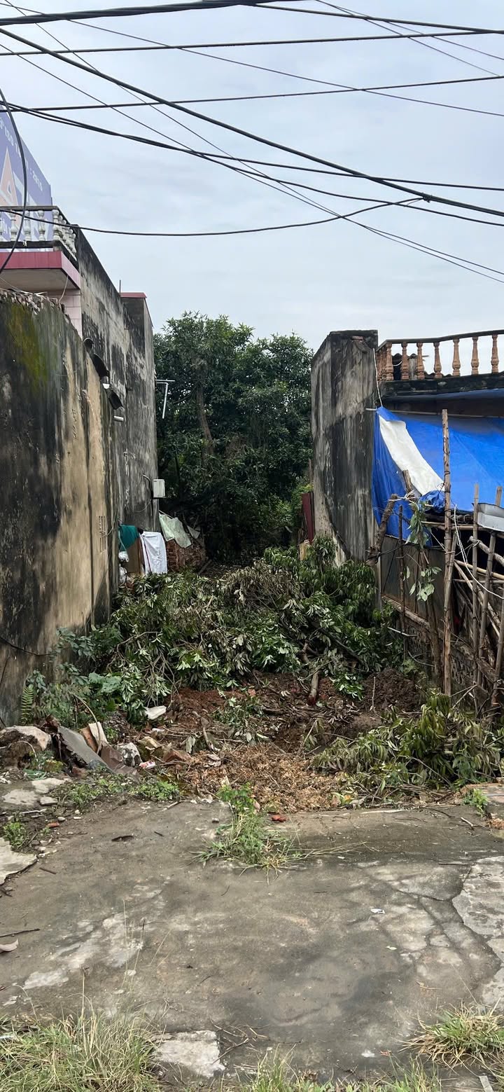 Đất nền Mỹ Độ Bắc Giang 101.8m² giá 2 tỷ - Đầu tư sinh lời hấp dẫn!