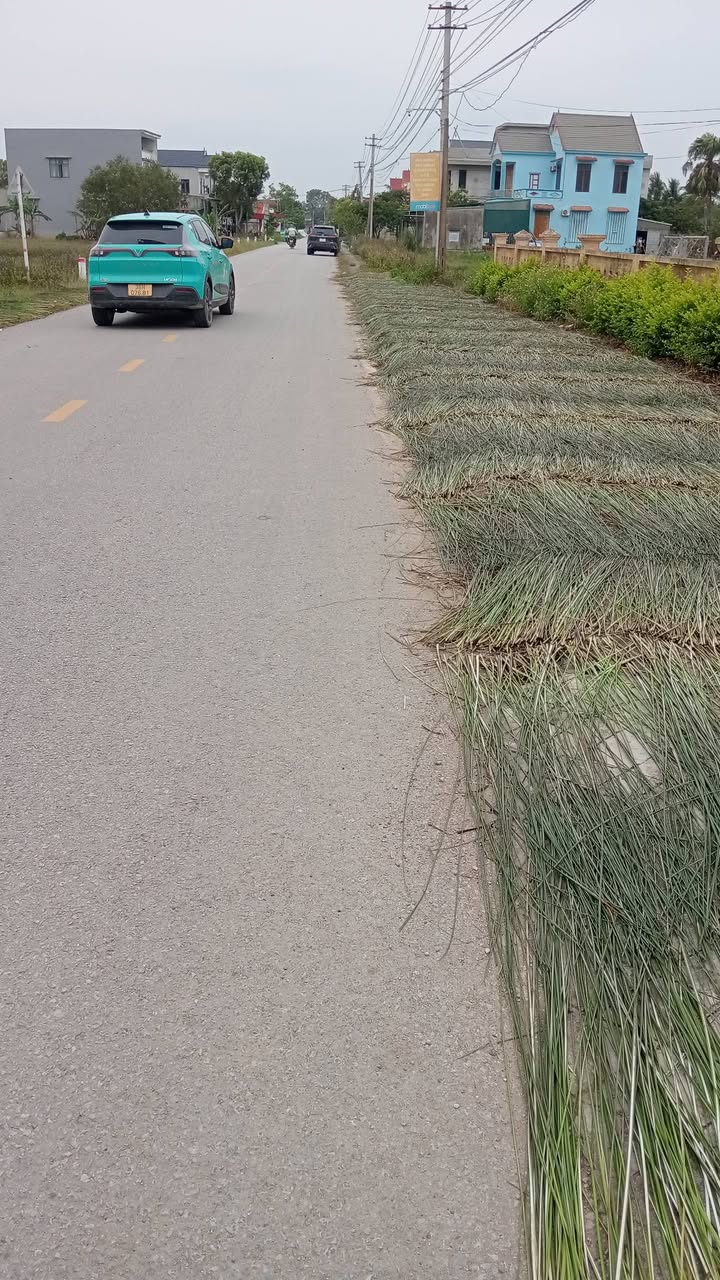 Đất nền thôn Ngọc Nhị, Quảng Phúc 150m² giá 700 triệu - Cơ hội đầu tư hấp dẫn!