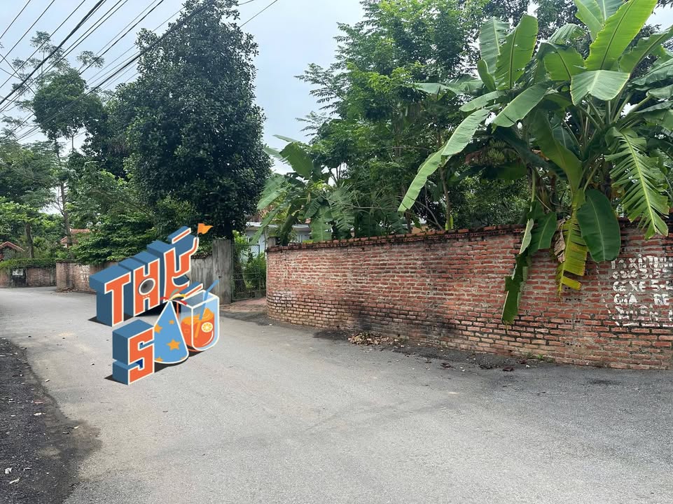 Đất thổ cư 100m² tại Thụy Vân, Việt Trì - Đầu tư sinh lời ngay hôm nay!