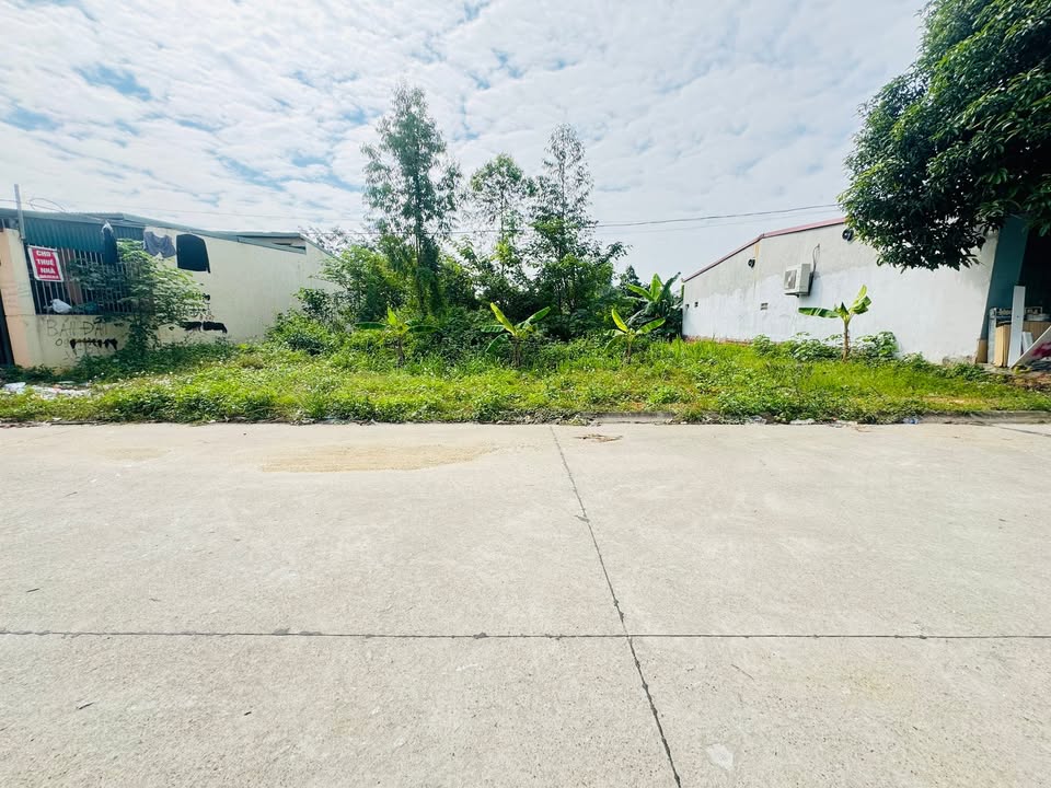 Đất nền khu cửa rừng xã Thanh Đình 100m² - Cơ hội đầu tư sinh lời!