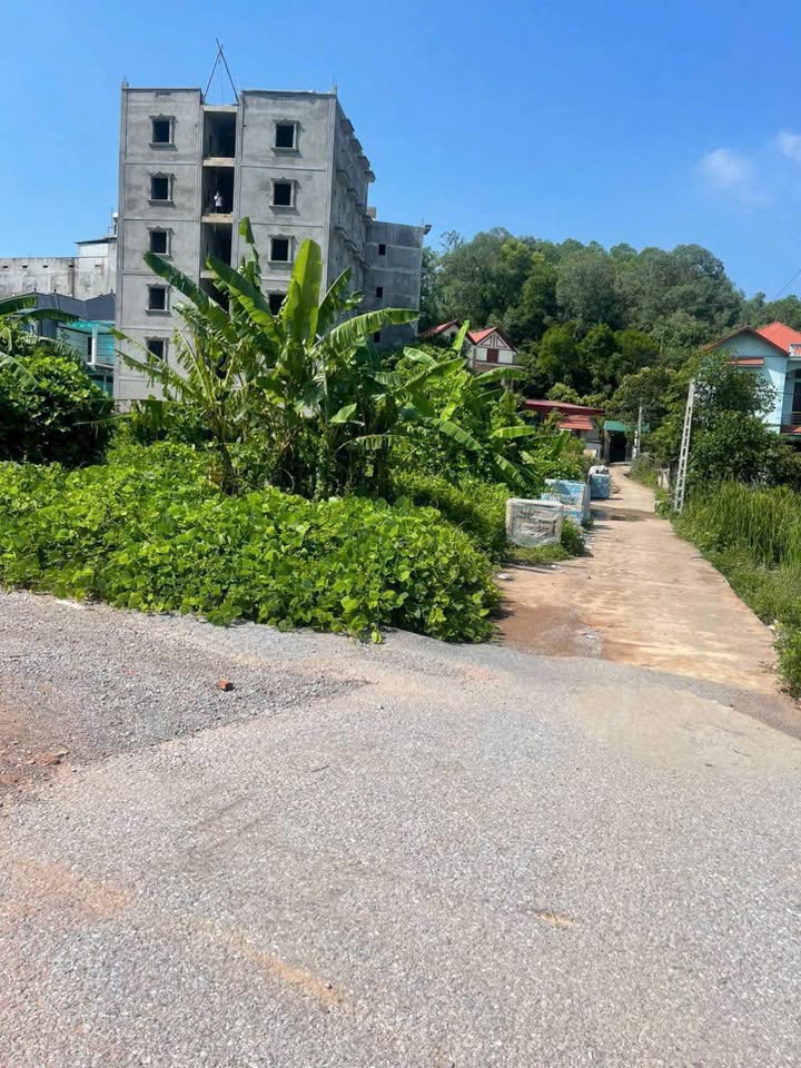 Đất nền liền kề thôn Giá, Nội Hoàng 156m² giá 5.7 tỷ - Vị trí đắc địa cho kinh doanh!