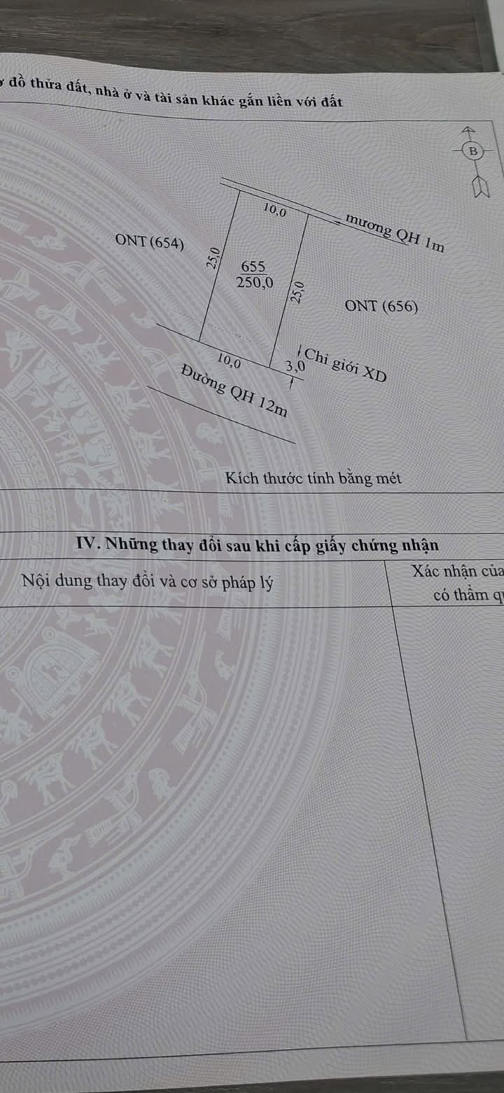Đất nền Diễn Hải 250m² - Bám đường nhựa, vị trí đắc địa cho đầu tư