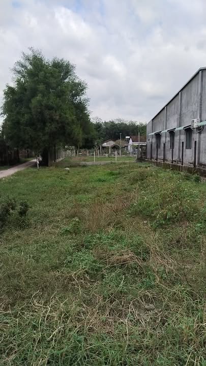 Đất nền Trảng Bàng Tây Ninh 186m² giá 3.1 tỷ - Mặt tiền đường nhựa thuận lợi!