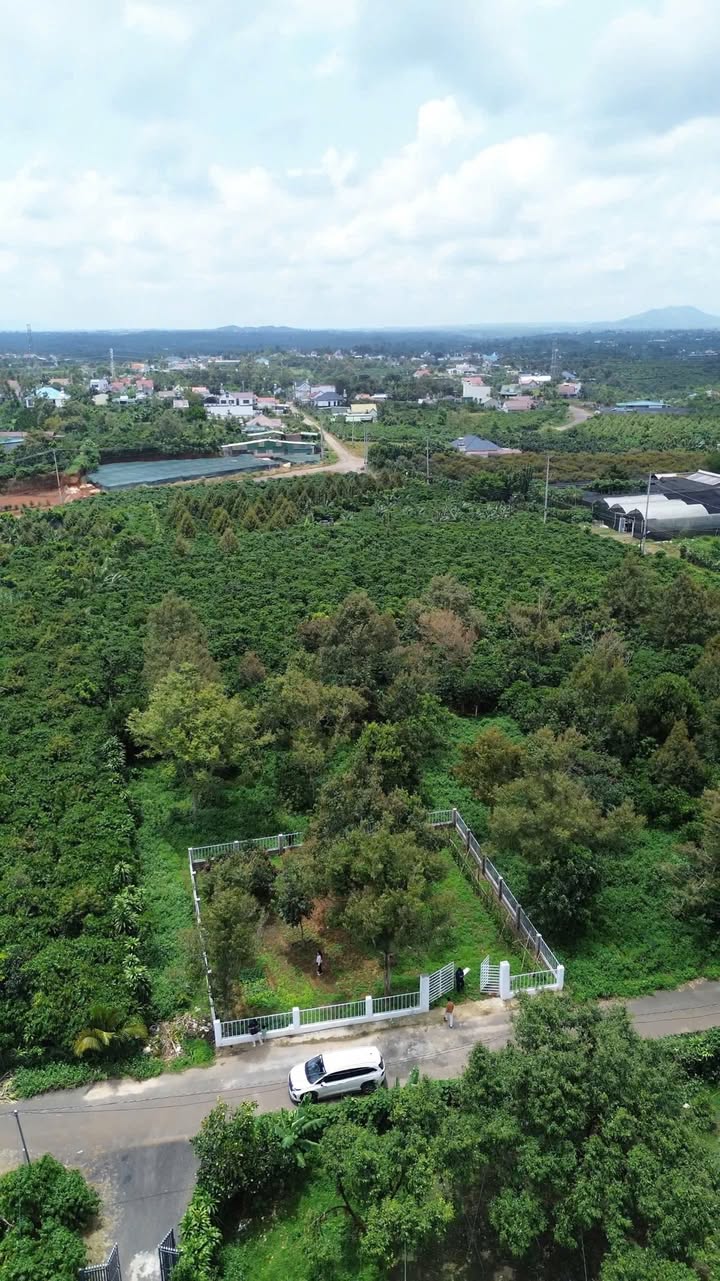 Đất góc 2 mặt tiền Lộc Nga 437m² giá thỏa thuận - Cơ hội đầu tư sinh lời tuyệt vời!