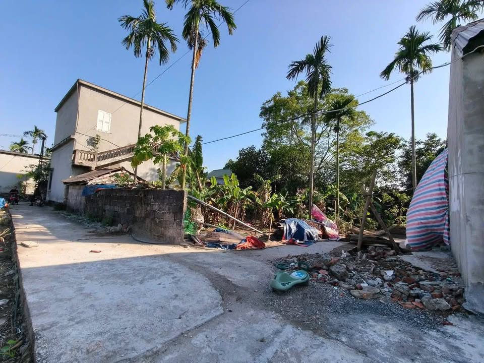 Đất nền 117m² tại Thanh Sơn, Kim Bảng chỉ 1.1 tỷ - Ngõ ô tô vào tận nơi!