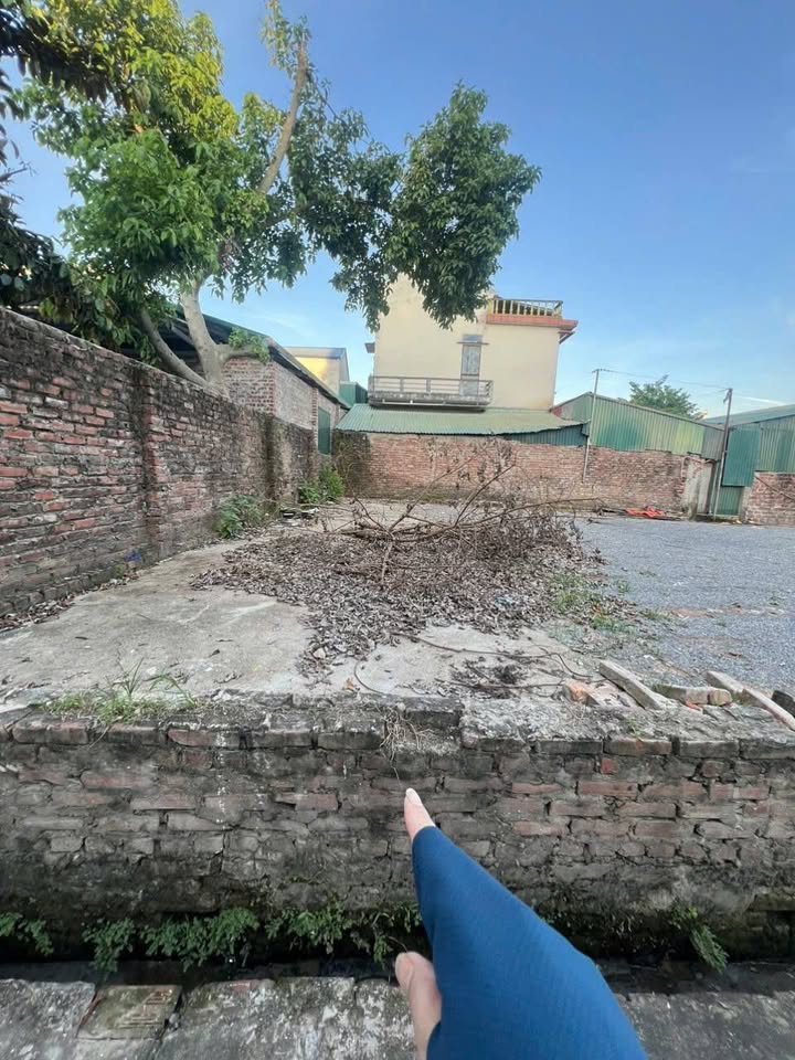 Đất nền Thanh Giang, Thanh Cao 66m² - Vị trí tiềm năng, giá chỉ từ 50 triệu/m²!