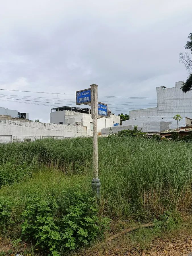 Lô đất góc Khúc Thừa Dụ - Ngô Thì Hương, 263m² giá 23.5 tỷ - Đầu tư sinh lời ngay!