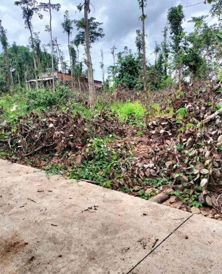 Đất nền Bàu Chinh Châu Đức 3600m² giá 900 triệu - Đường bê tông 5m thuận tiện!