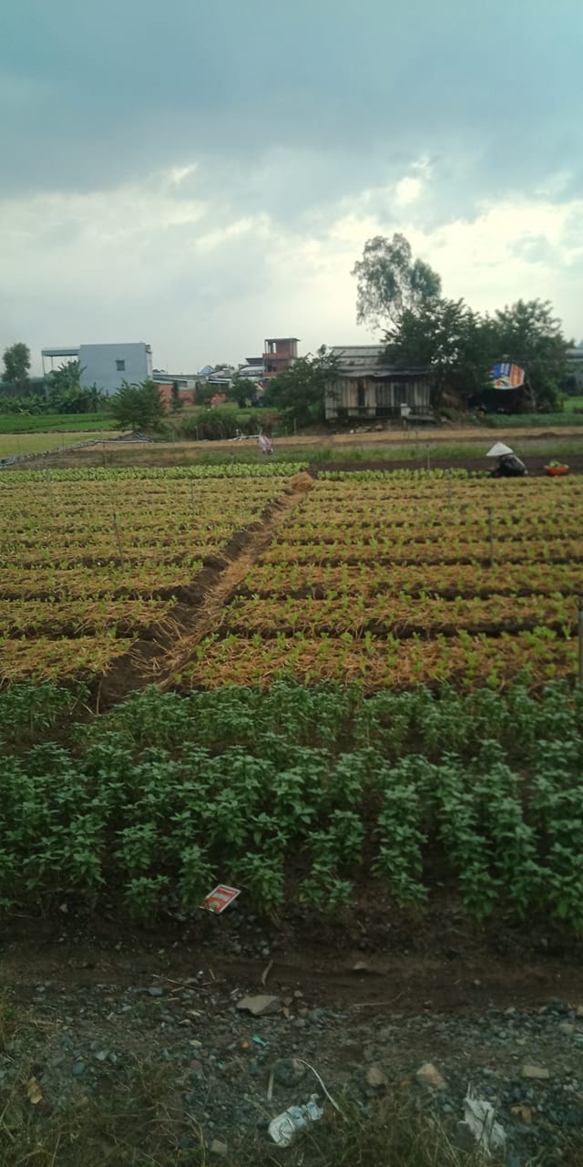 Đất nền Tân Hải, Phú Mỹ 223m² chỉ 1.7 tỷ - Đầu tư sinh lời ngay!