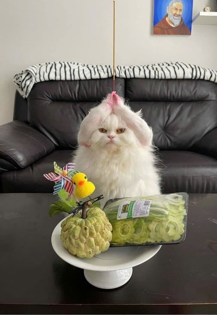 Lô đất mặt tiền đường 82 Hòa Long 174m² giá 2.4 tỷ - Vị trí đắc địa