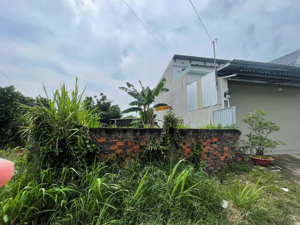 Đất thổ cư 84m² xã Tân Thạnh Tây, Củ Chi - Giá 1.6 tỷ, bớt lộc