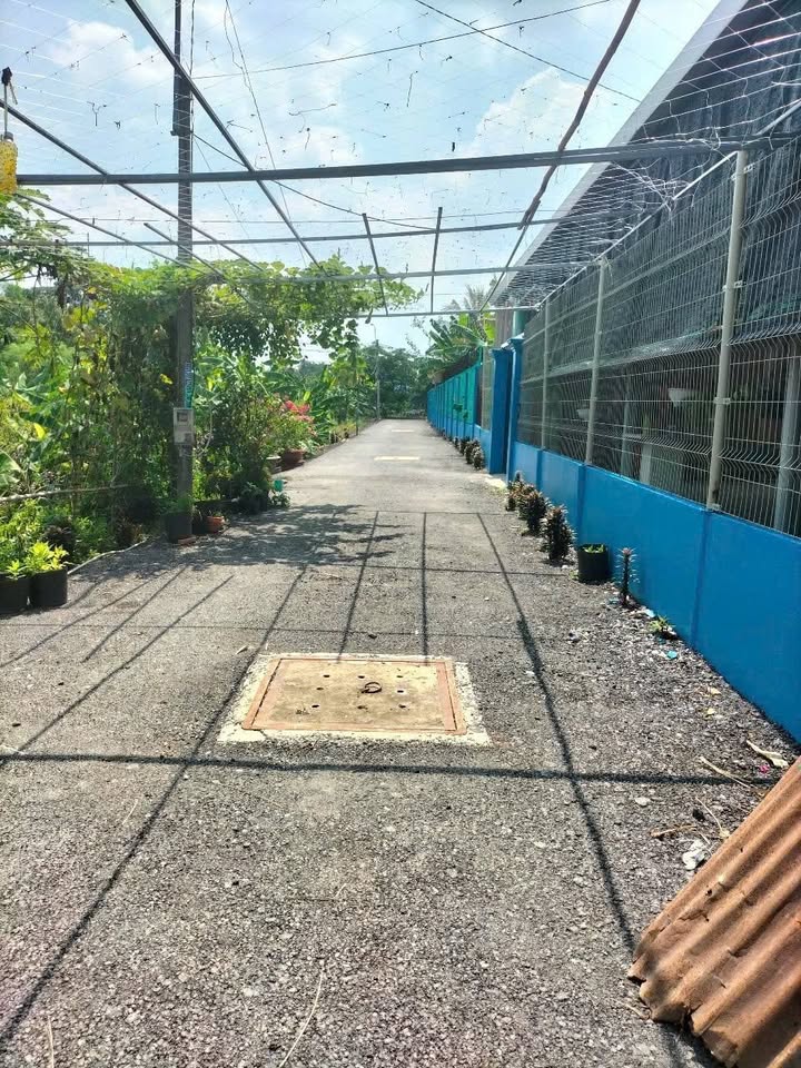 Đất nền Bình Mỹ Củ Chi 100m² giá 1.25 tỷ - Sổ đỏ chính chủ, xây dựng tự do!