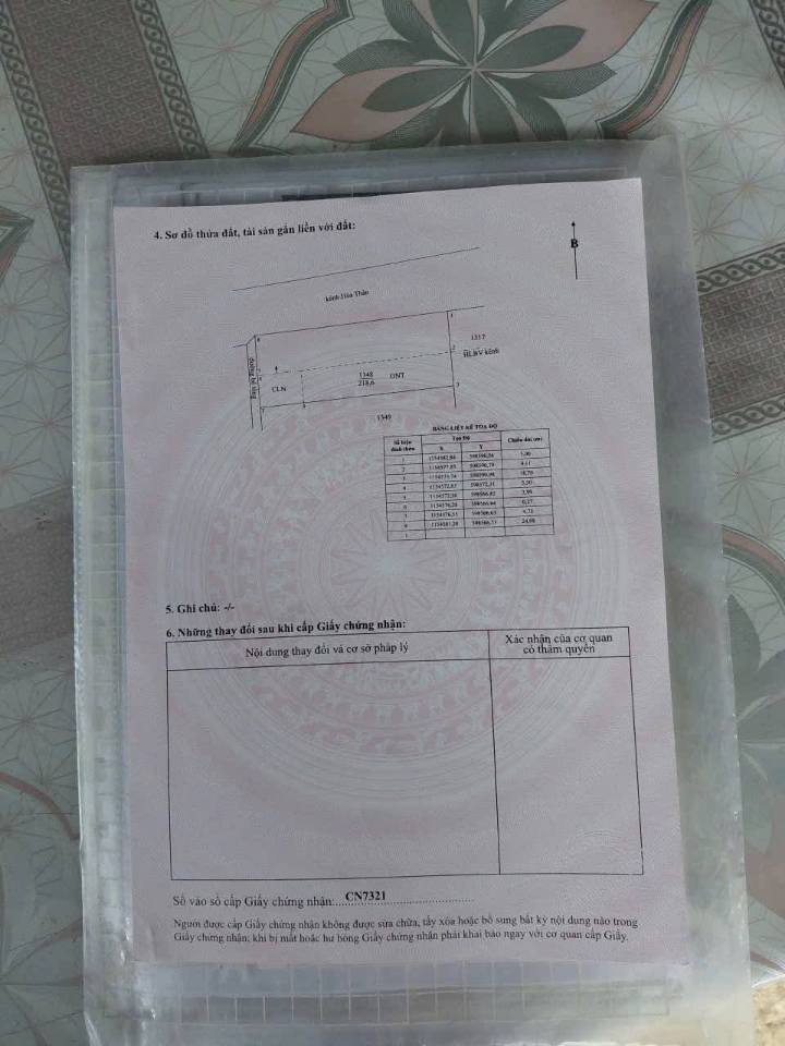 Đất nền Gò Công 218m² giá 650 triệu - Đường ô tô dễ dàng di chuyển!