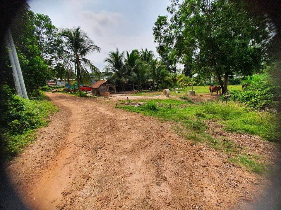 Đất vườn 1300m² giá 800 triệu - Tiềm năng nghỉ dưỡng tại Thanh An, Châu Thành, Tây Ninh!