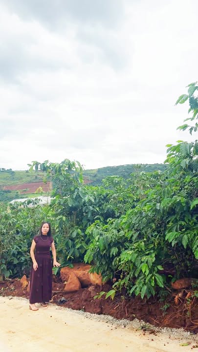 Đất nền Mê Linh Đà Lạt 1.600m² giá chỉ 1.6 tỷ - Cơ hội đầu tư tuyệt vời!