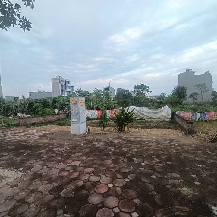 Đất nền TNR Bích Động 150m² giá thỏa thuận - Cơ hội đầu tư vàng!