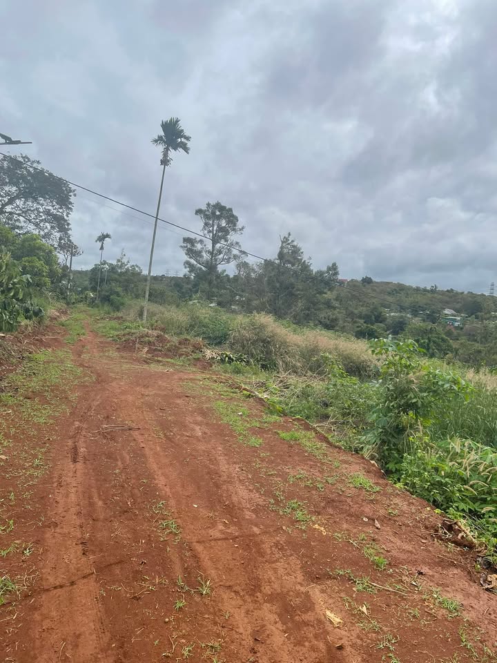 Đất thổ cư tại xã Nhân Cơ, huyện Đắk R'Lấp 320m² giá 600 triệu - Cơ hội đầu tư hấp dẫn!