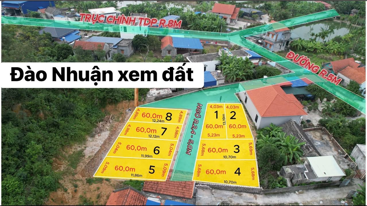 Đất nền phường Lưu Kiếm, Thủy Nguyên, 60m² chỉ từ 500 triệu - Cơ hội đầu tư tuyệt vời!