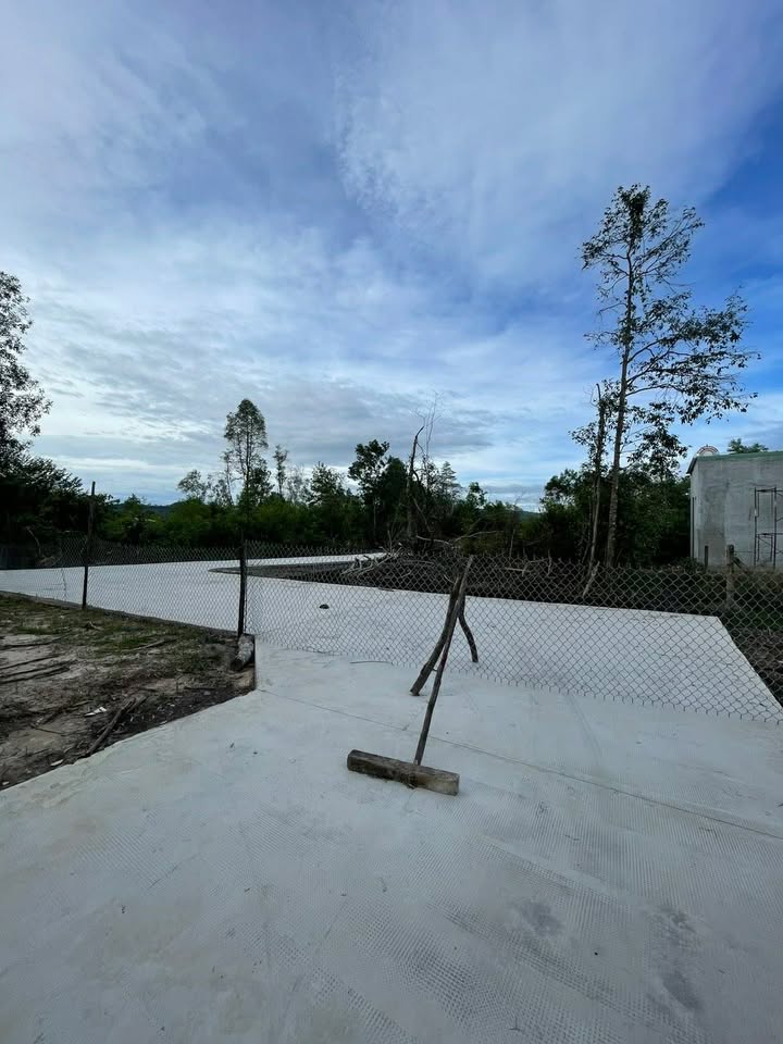 Bán đất Cây Thông Trong Phú Quốc 505m² giá 1 tỷ - Cơ hội đầu tư hấp dẫn!