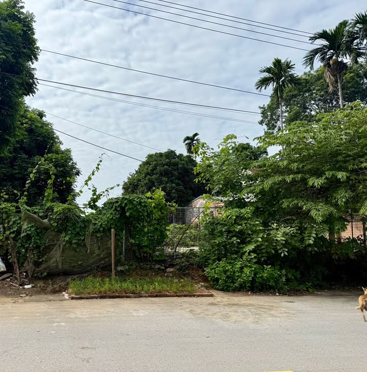 Đất nền đẹp tại phường Phú Thọ, 171m² giá 1,2 tỷ - Tiềm năng đầu tư cao!