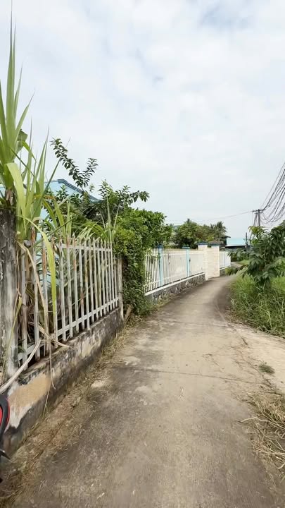 Đất thổ cư 1000m² tại Thuận Thành, Cần Giuộc - Giá chỉ 2.55 tỷ, hướng Đông!