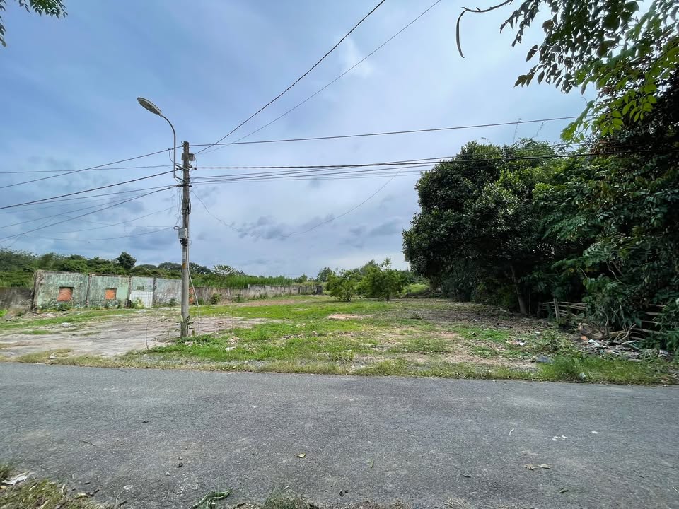 Đất thổ cư 1300m² tại Nhuận Đức, Củ Chi - Đường nhựa thuận lợi, giá thỏa thuận!