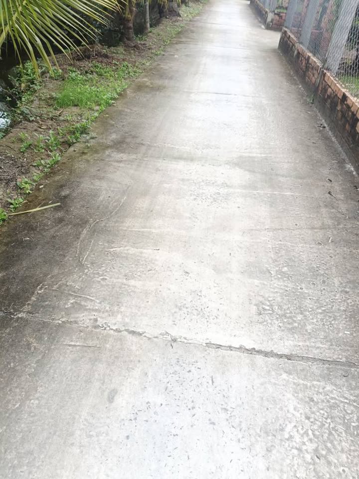 Đất nền 3000m² Tân Thạch, Châu Thành, Bến Tre giá 2,5 tỷ - Đầu tư sinh lời!