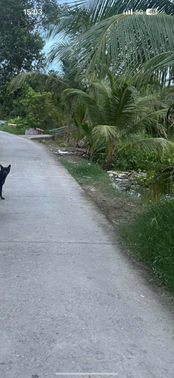 Đất nền Phước Long Bạc Liêu 116m² giá 280 triệu - Cơ hội đầu tư tuyệt vời!