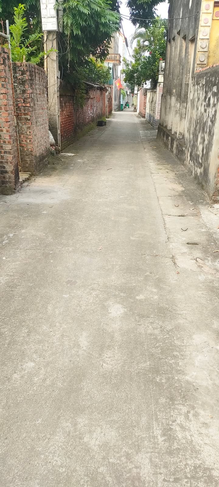 Đất nền chính chủ Xuân Lê, Song Liễu, 40m² chỉ 1.1 tỷ - Cơ hội đầu tư hấp dẫn!